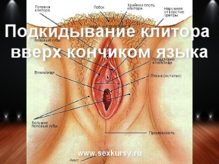 how to make cuni - clitoral orgasm